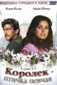 Королёк – птичка певчая турецкий сериал