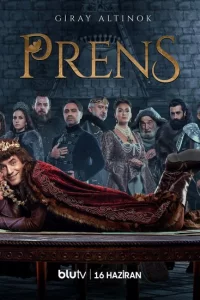 Принц турецкий сериал
